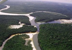 Rio Amazonas tem mais de 9 milhões de anos