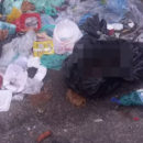 Ossada humana é encontrada no lixo em Belém