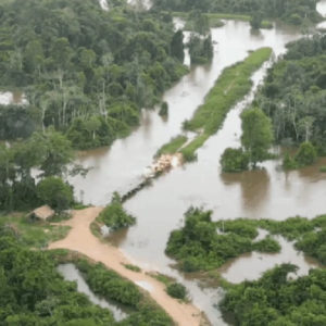 PF explode ponte usada por invasores da Terra Indígena Apyterewa, no Pará