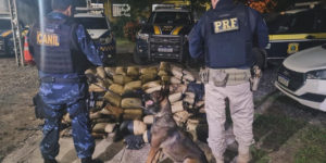 GMM apoia Polícia Rodoviária Federal na apreensão de 325 kg de drogas em Marabá