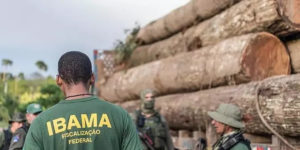 Ibama entra em greve no Pará nesta segunda-feira (24)