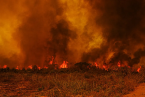 Entenda como fogo e seca no Norte do Brasil podem intensificar período de queimadas no Pantanal