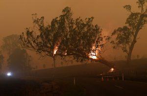 ‘Megaincêndio’ na Austrália assola área quatro vezes maior que Nova York