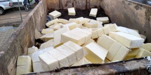 Quase mil quilos de queijo clandestino são apreendidos e descartados