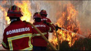 Concursos Bombeiros: CONFIRA as situações dos certames