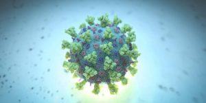 Israel anuncia descoberta de anticorpo para o coronavírus