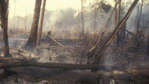 Estudo revela possibilidade de colapso do sistema de saúde na Amazônia