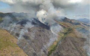 Incêndio atinge 10 mil metros quadrados de reserva biológica no Rio