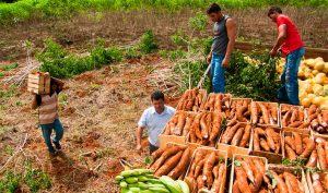 Prefeitura vai pagar R$ 2,5 milhões por centro de agricultura familiar em Parauapebas