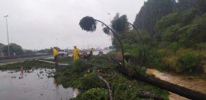 Novo ciclone deve levar chuva e ventos de até 100 km/h para o Sul do país, alertam meteorologistas