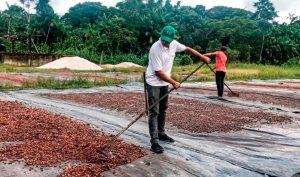 Programa “Territórios Sustentáveis” vai beneficiar municípios do sul e sudeste do Pará