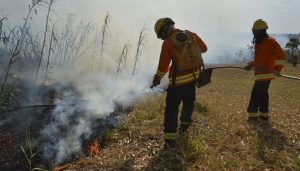 Governo amplia em 50% contratação de brigadistas para contenção de queimadas