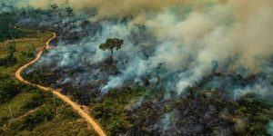 IBGE: Brasil perdeu 500 mil m2 quadrados de biomas em 18 anos, metade na Amazônia