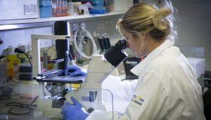 Pesquisa comprova que covid-19 é também doença vascular