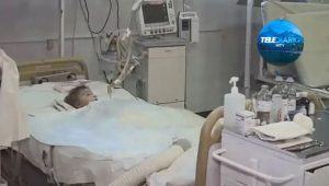 Cães atacam bebê de dois anos e arrancam sua genitália
