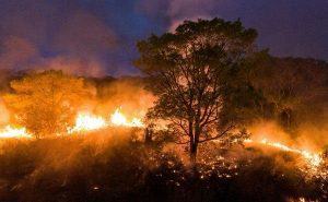 Governo libera R$ 10 milhões para combate a incêndio no Pantanal em MT