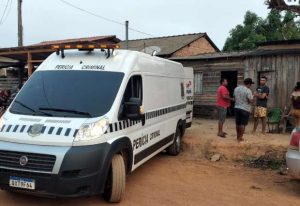 Homem morre após ser atacado por enxame de abelhas em Itaituba