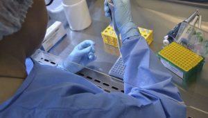 OMS fará testes para avaliar outros possíveis tratamentos da covid-19