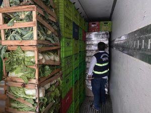 Sefa apreende mais de 40 mil garrafas de cerveja em caminhão com verduras em Marabá