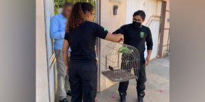 Denúncias de maus tratos contra animais crescem 50% em Marabá