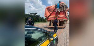 PRF apreende caminhão que transportava madeira ilegal em Marabá