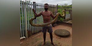 Morador da Pioneira captura cobra que devorava as galinhas do quintal