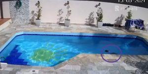 Bebê cai em piscina e sobrevive utilizando técnicas de natação; assista