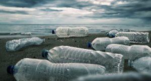 Colapso nos oceanos vai devastar humanidade em 25 anos