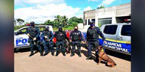 Cães da Guarda Municipal localizam drogas outra vez