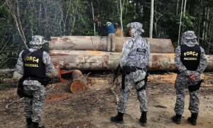 Governo Federal amplia ação de militares contra desmatamento na Amazônia