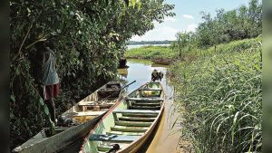 Rio Tocantins vira um minador de cadáveres