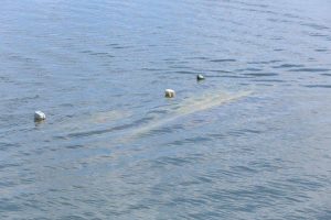 Barco naufragado causa risco de fatalidade no Rio Tocantins