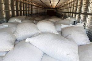 Sefa apreende carga de 12 toneladas de cacau em amêndoas na Transamazônica