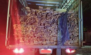 PRF apreende 32,5 metros cúbicos de madeira irregular em Marabá, no PA
