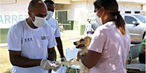 Equipes realizam ação de combate à leishmaniose em Morada Nova