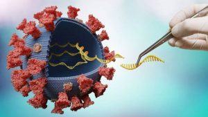 Pará confirma 1º caso da variante delta do coronavírus