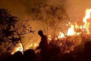 Mesmo com decreto que proíbe fogo, Amazônia registra quase 5 mil focos de queimadas em julho