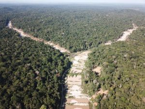 Pará acumula maior desmatamento da Amazônia legal em 2021