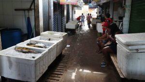 Temor por doença da urina preta trava venda de pescado em Marabá