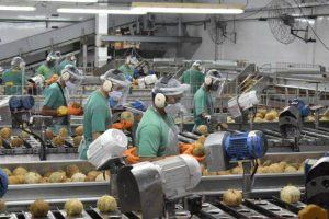 Distritos Industriais já representam quase 12% do PIB no Pará