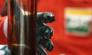 Governo Federal cria grupo para avaliar adição de biodiesel ao óleo diesel