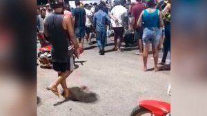 Farol apagado de moto resulta em morte em Marabá