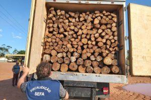 Sefa apreende 500 estacas de madeira sem nota fiscal em Tucuruí