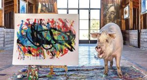Porca pintora conhecida como ‘Pigcasso’ tem quadro vendido por R$ 150 mil