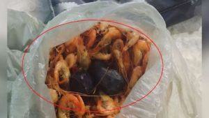 Mulher é presa transportando drogas escondidas em sacolas de camarão no Pará