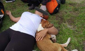 Mulher cai de moto ao desviar de cão e animal fica ao lado dela em resgate