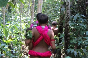 Garimpeiros exigem sexo com meninas e mulheres Yanomami em troca de comida, aponta relatório
