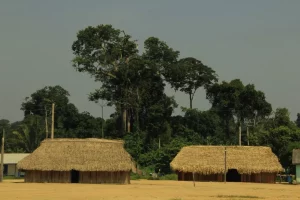 Kayapós dizem ter detido garimpeiros em terra indígena no PA; MPF vê ‘risco grave de conflito’