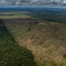 Pará tem maioria das unidades de conservação e terras indígenas mais desmatadas da Amazônia, diz Imazon