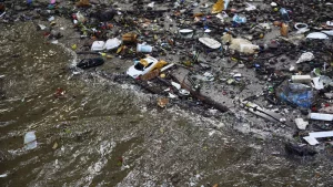 Pesquisa mostra que 10% dos brasileiros nunca foram à praia; 40% acreditam que suas ações não impactam conservação do oceano